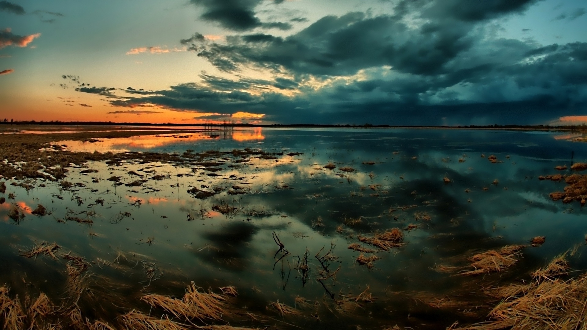 a magnet in the marsh