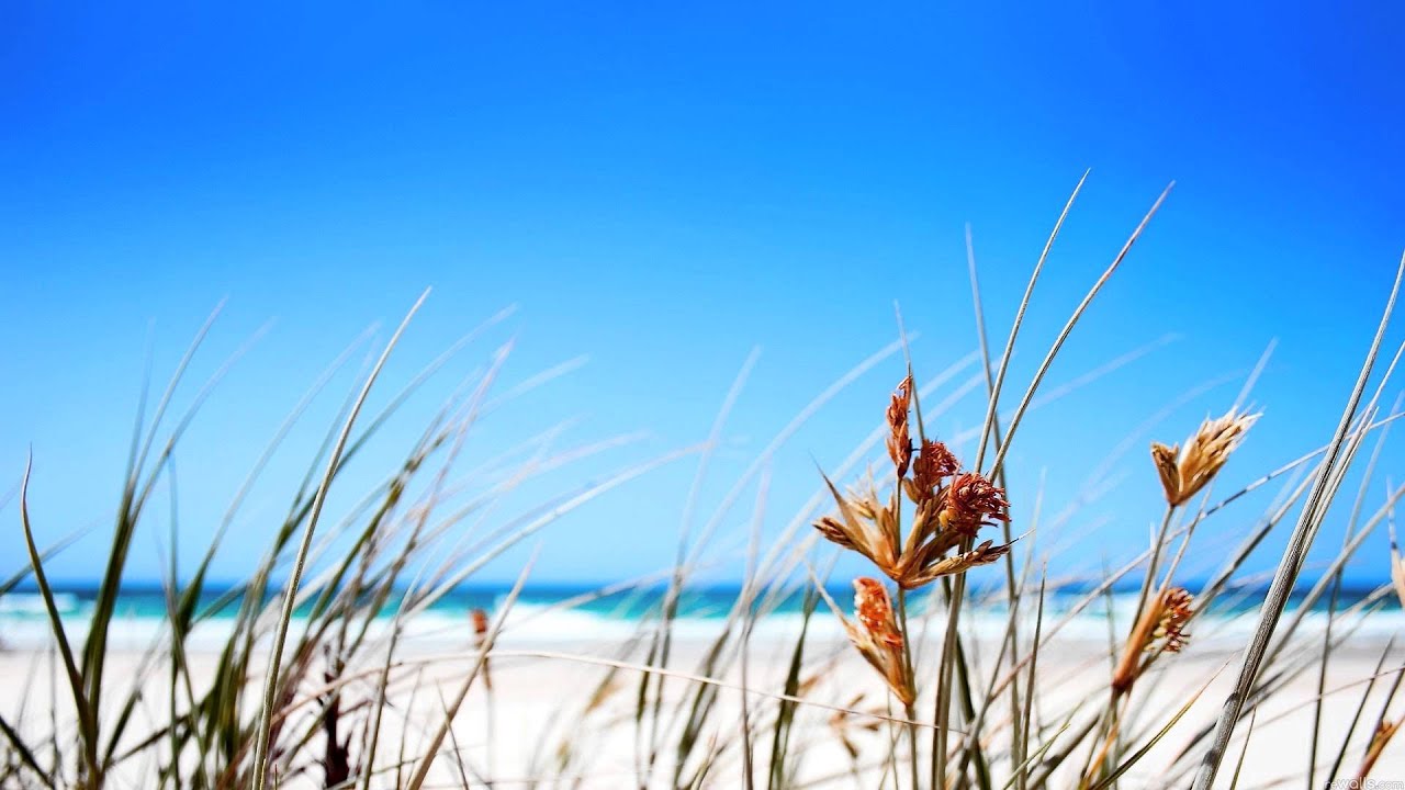 welcome to June Renew (year two)