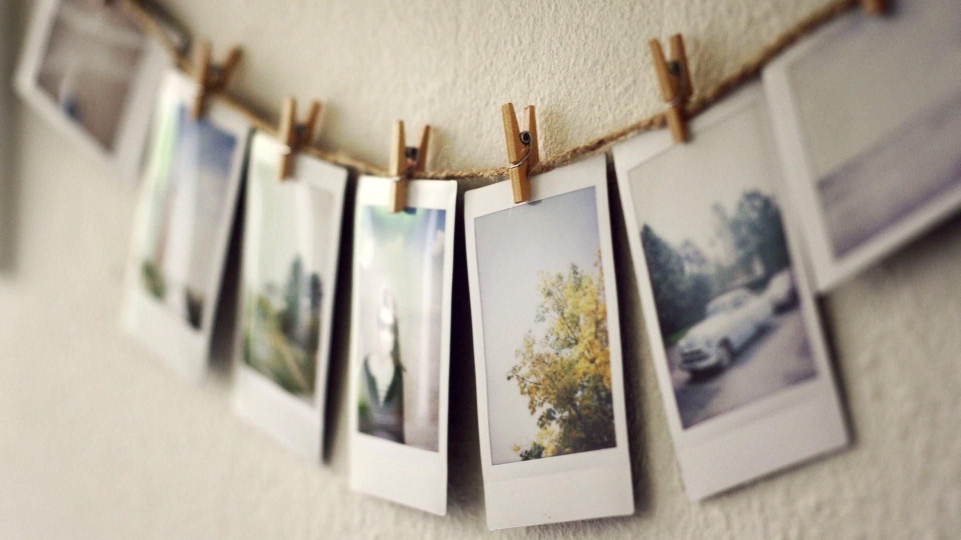 (28) a natural photo of my nature [june renew]