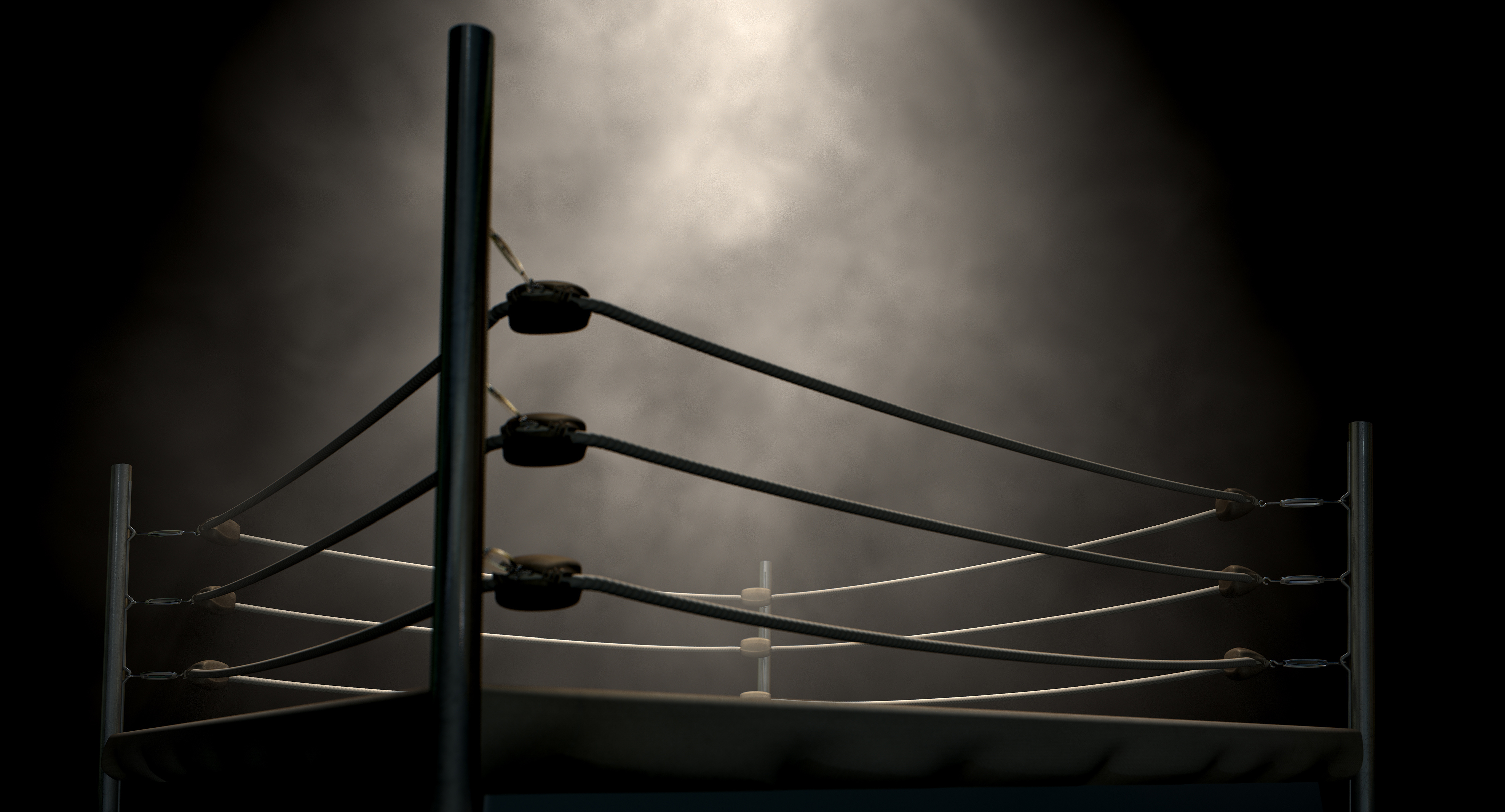 30) fight and flight
