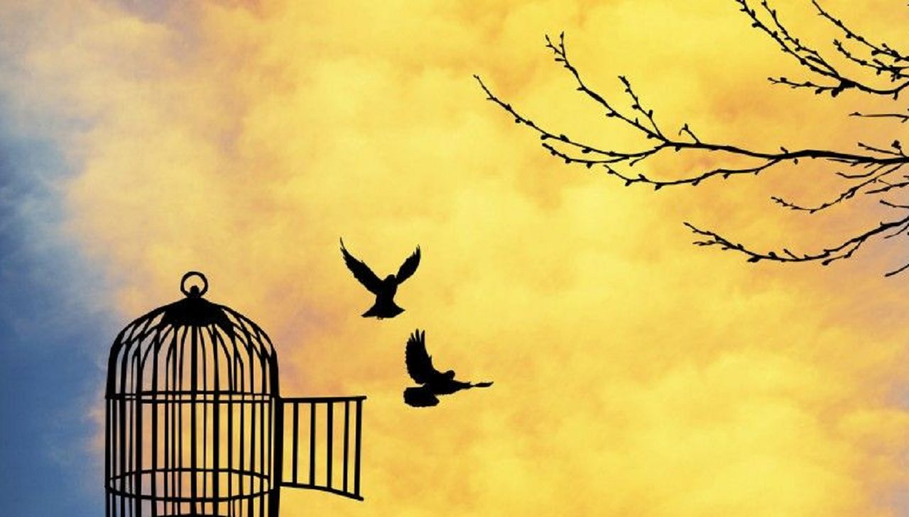 4) opening your own cage