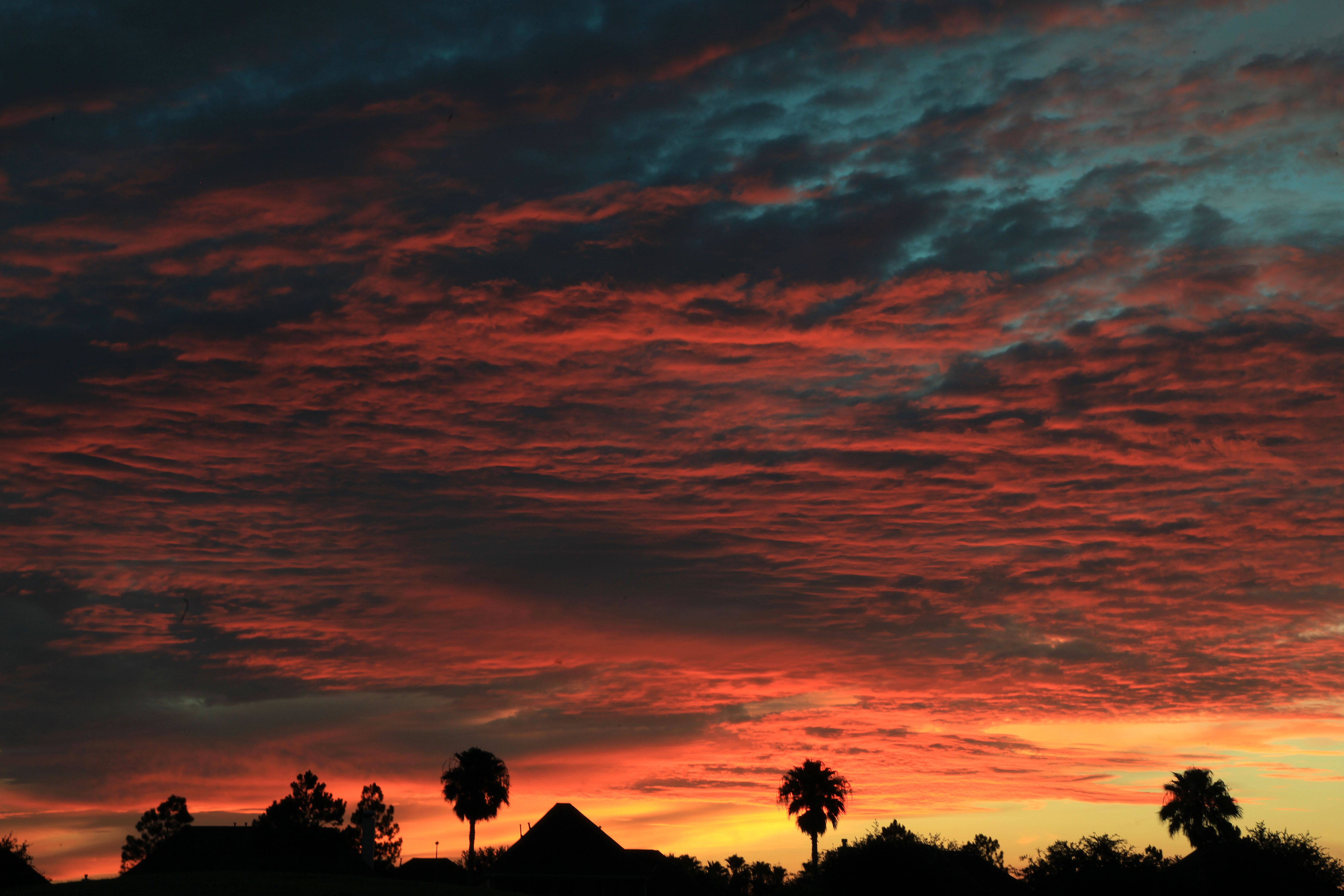 June Renew III: how did we do?