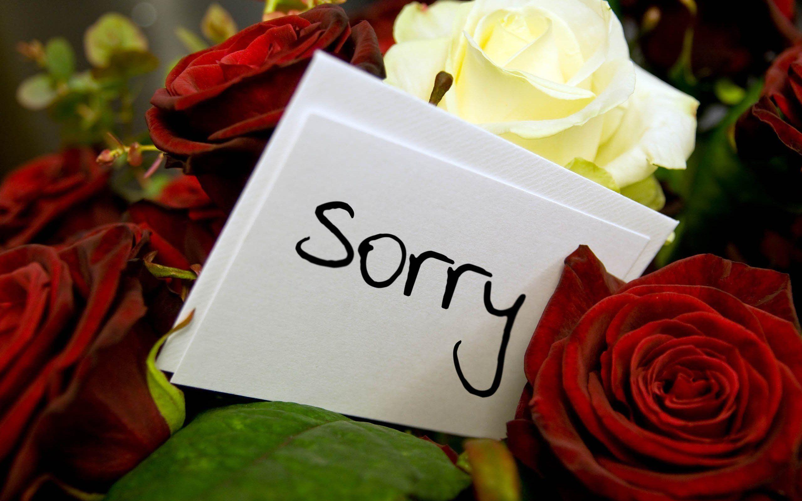 7) how sorry can you get