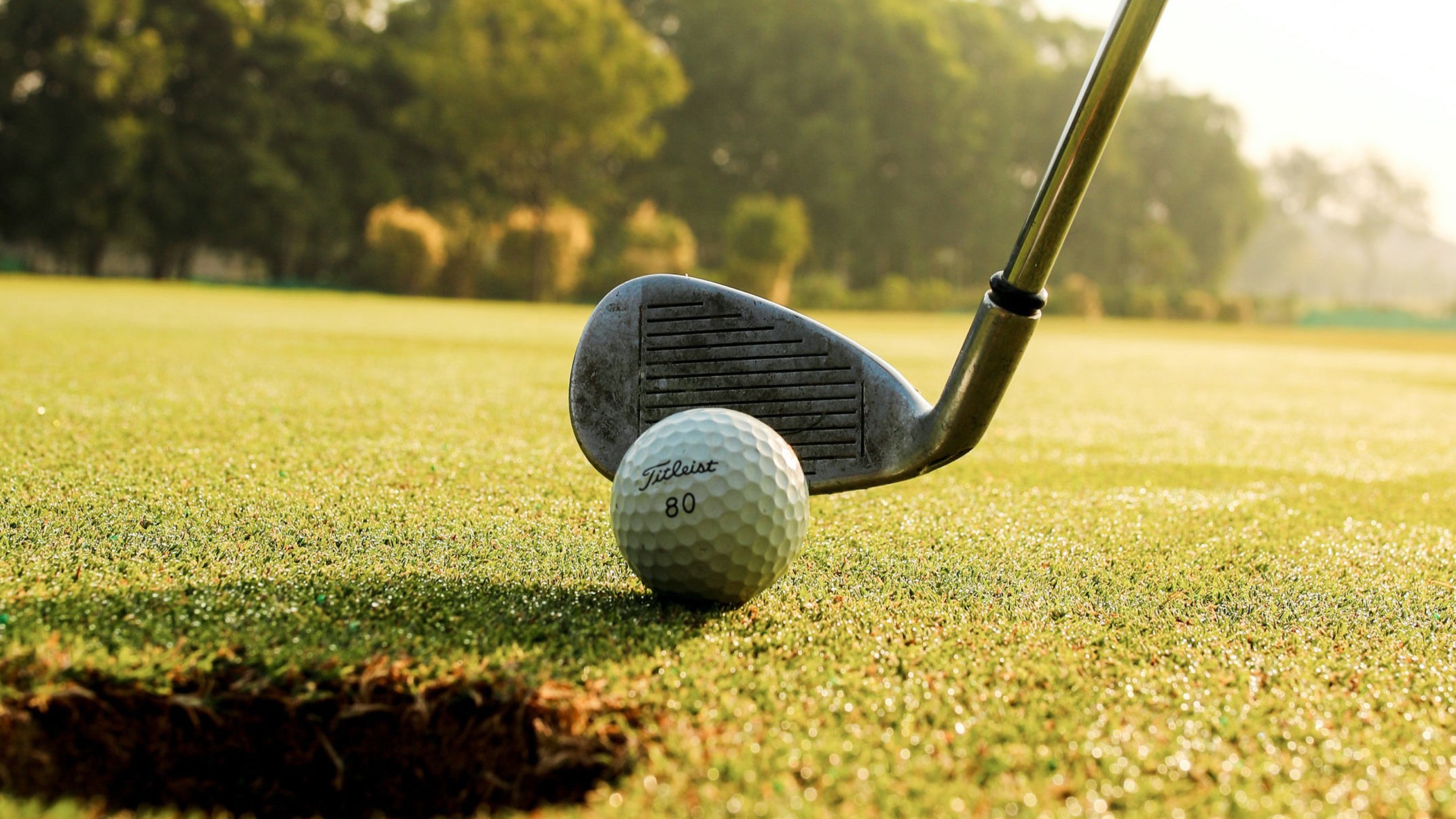 30) the inevitable par for the course